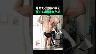 見たら元気になる面白い動画まとめ🤣🤣🤣 [upl. by Eadas]