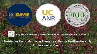 Nutrientes Esenciales de las Plantas y Fertilización en la Producción de Viveros [upl. by Cadell]