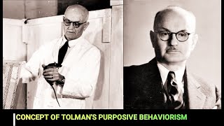 Tolmans purposive behaviorism or SS theory [upl. by Ojahtnamas]