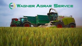 Wagner Agrarservice  CLAAS Jaguar 980  GPS  BGA  Claas Xerion 4500  Fendt 900 Vario  MB Actros [upl. by Sivek]