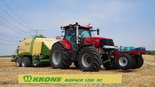 Tarwestro persen met KRONE BiG PACK 1290XC Panman Veendam [upl. by Ammeg259]