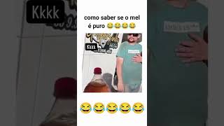 TUTORIAL DE COMO SABER SE O MEL É PURO 😂😂 🐝🍯 humor tentenaorir videosengraçados memes memesbr [upl. by Margeaux]