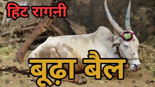 बूढ़ा बैल  Aaya Budhapa Kadwa Kar Ke Ragni  Pandit LakhmiChand Ki Hit Ragni [upl. by Attener929]