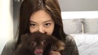 ALL SUB BLACKPINK JENNIE VLIVE 20171113 [upl. by Emelen]