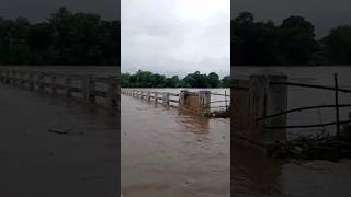 बाढ़ के कारण पुल टूटा😱 Flood🌊 In Mp Kerbana 2024 flood flashflood floodindia river [upl. by Phenica495]