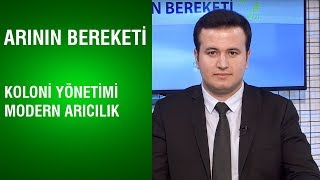 Arının Bereketi  Koloni Yönetimi ve Modern Arıcılık [upl. by Now]