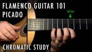 Flamenco Guitar 101  07  Picado Basic Chromatic Study [upl. by Lezah]