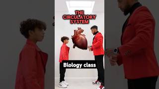 GCSE Biology  Circulatory System [upl. by Itsirhc]