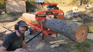 WoodMizer Saw Shed Part 1  Milling the Main Beam sawmill woodworking hardwork [upl. by Yrakaz200]