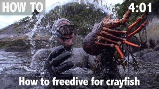 How to Freedive for Crayfish [upl. by Neliak]