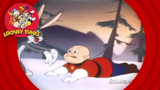 Looney Tunes  Cartoon Compilation [upl. by Survance209]