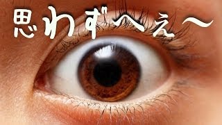 思わずへぇ〜と言ってしまう面白雑学15選【おもしろ雑学の嵐】 [upl. by Feola]