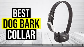 Best Dog Bark Collar 2024 ⬆️ TOP 5 ✅ [upl. by Pitzer]