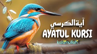 Ayatul Kursi  Really Beautiful Recitation  Kalamullah TV [upl. by Assyle842]