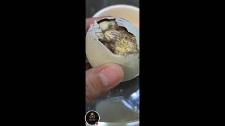 Balut Duck Egg 🐣 food egg [upl. by Dulcea895]