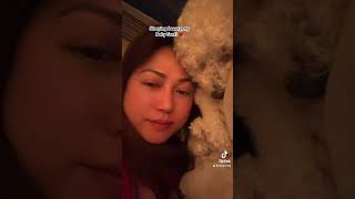 Santi’s sleeping time while Mumsy is doing her Tiktok bichonfrise [upl. by Hafeetal]