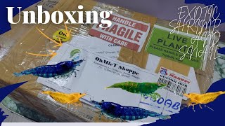 Unboxing fish from OHMLET shoppe  shrimp amp Assassin snails Unboxing [upl. by Bethany]