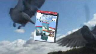 Pigeon Racing Secrets of Champions 1234 Collection [upl. by Matilde]