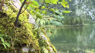 Königssee  eine Fahrt über den See die Salet Alm ST Bartholomä und der Obersee [upl. by Bartko]