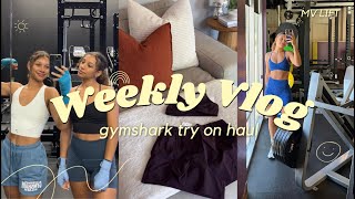 TRY ON HAUL  gymshark summer sale [upl. by Lorita16]