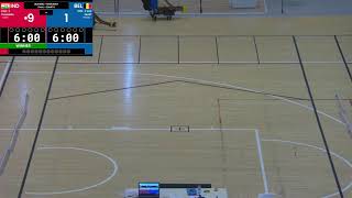 World Boccia Challenger  Court 6 Day 3 [upl. by Elleneg]