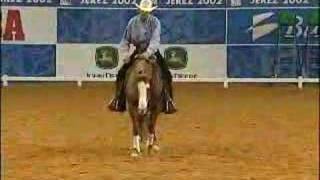 Craig Johnson Bridleless Reining Demo [upl. by Adama99]