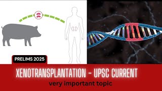 XENOTRANSPLANTATION  CURRENT AFFAIRS VERY IMPORTANT TOPIC  Daily quiz  currentaffairs upsc [upl. by Nedi]