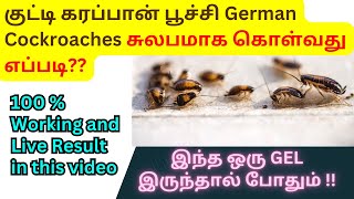 ✅ How to Kill Small German Cockroaches in Kitchen in Tamil  Quick Solution [upl. by Ramel]