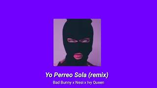 Yo Perreo Sola remixslowed [upl. by Ernst605]