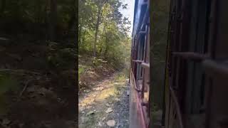 Waghai  Bilimora Narrow Gauge Journey  Gujarat  09502  Indian Railways [upl. by Eisenberg603]