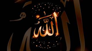 All quran allquran youtubeshorts youtube shattawale allahhuallah madina youtubeshorts [upl. by Bortman53]