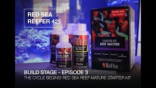 RED SEA REEFER 425 BUILD SERIES  Episode 3  CYCLING THE TANK AT LAST [upl. by Little]