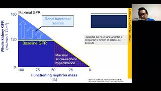 Enfermedad renal crónica 2 [upl. by Lesna]