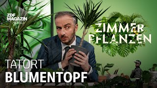 Greenwashing im Wohnzimmer Wie nachhaltig sind unsere Zimmerpflanzen  ZDF Magazin Royale [upl. by Nwahshar]