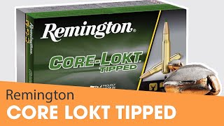 UNE BELLE NOUVEAUTÉ  Découvrez la nouvelle balle CoreLokt Tipped de REMINGTON [upl. by Rome]