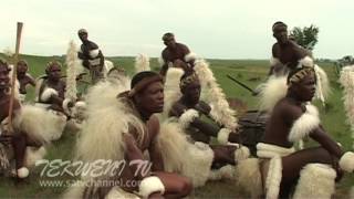 Celebrating Zulu Heritage Through Tribal Dance [upl. by Ahsinna]