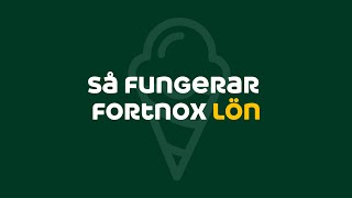 Så fungerar Fortnox löneprogram [upl. by Aikenat704]