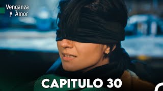 Venganza y Amor Capitulo 30  Doblado En Español [upl. by Mossberg56]