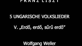 Liszt Ungarisches Volkslied Nr 5 Erdő erdő sűrű erdő Wolfgang Weller 2014 [upl. by Namzed]