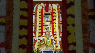 Toogire Rayara music raghavendrasongs raghavendra trendingshorts  raghavendraswamytemple [upl. by Nylrats]