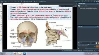 Anatomy of the Paranasal sinuses  Dr Ahmed Farid [upl. by Annaik670]