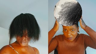 I Tried Natural Remedies For Smooth Hair [upl. by Hamford]