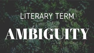 Ambiguity  Literary Term [upl. by Mckeon]