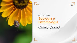 AULA AO VIVO  ZOOLOGIA E ENTOMOLOGIA [upl. by Groos]