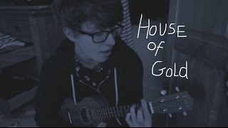 House of Gold  twenty one pilots Cover [upl. by Ssidnac166]