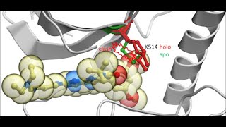 Flexible Induced Fit Docking and Screening Webinar [upl. by Rubin170]