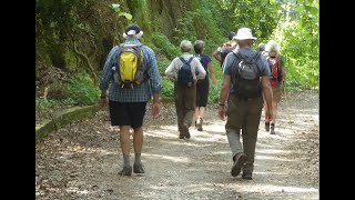 Via Francigena del Sud [upl. by Onitselec]