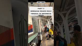 Reaksi Bule Tinggal Di Indonesia Pohon Besar Bikin Kesurupan⁉️ reaksibule shorts viralvideo [upl. by Rrats]