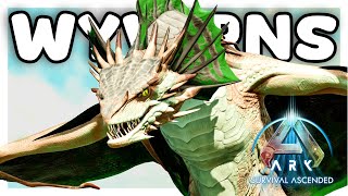 Taming WYVERNS in ARK Survival Ascended MODDED [upl. by Sivla]