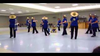 21st Annual Kootenay Stomp Clogging Festival  Kelowna Okanagan Cloggers Exhibition [upl. by Ahsennod386]